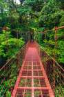 Hikers on a red suspension bridge, Monte Verde Cloud Forest Preserve, Alajuela Province, Costa Rica Art Print